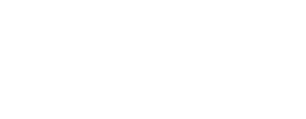 transparent Logo