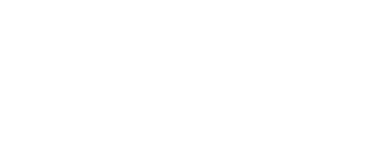 transparent Logo